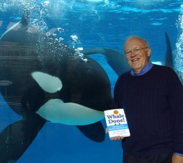 مختصری درباره روش مدیریتی ویل دان