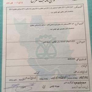 WhatsApp-Image-2018-09-24-at-10.48.37-731x1030