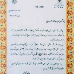 سسس-731x1030-731x1030